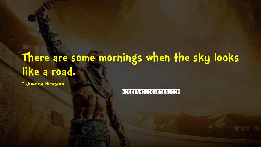 Joanna Newsom Quotes: There are some mornings when the sky looks like a road.