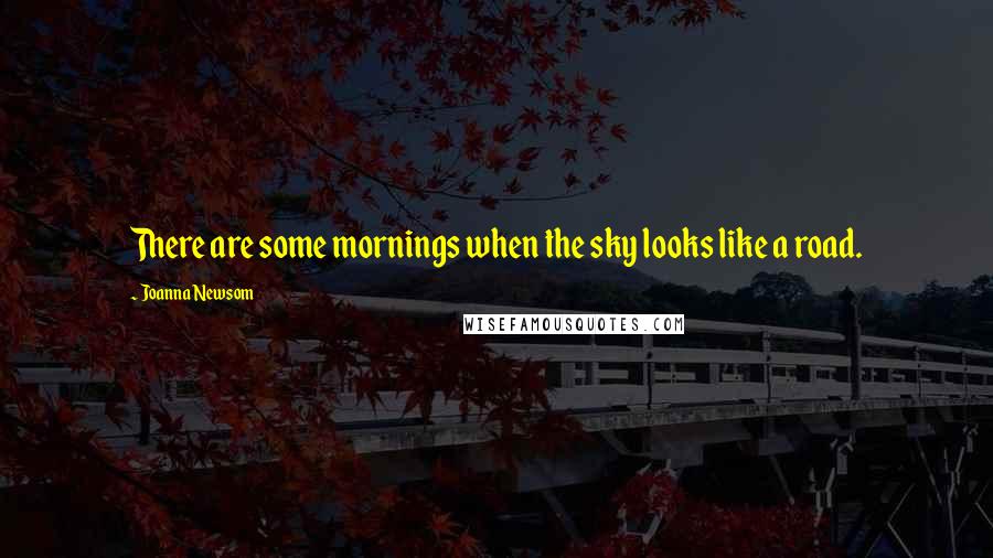 Joanna Newsom Quotes: There are some mornings when the sky looks like a road.