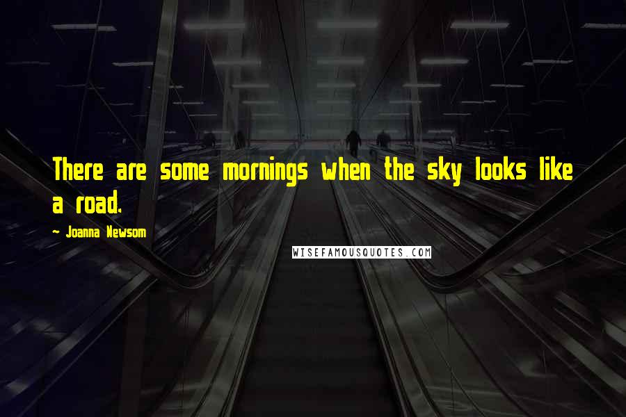Joanna Newsom Quotes: There are some mornings when the sky looks like a road.