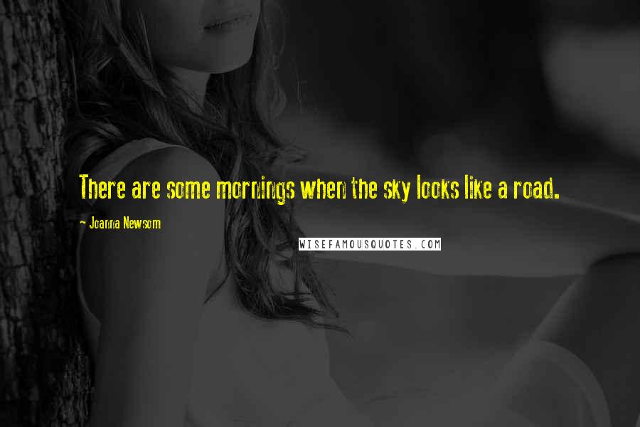 Joanna Newsom Quotes: There are some mornings when the sky looks like a road.