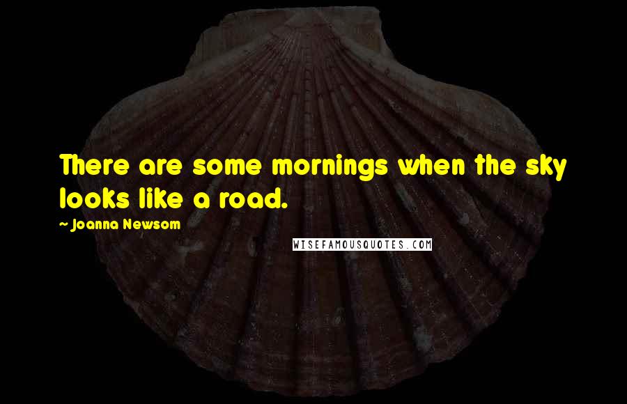 Joanna Newsom Quotes: There are some mornings when the sky looks like a road.