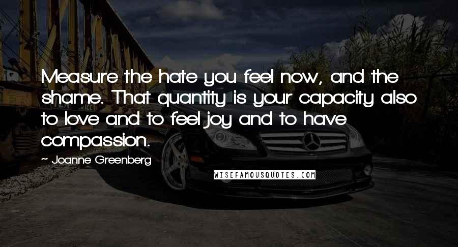 Joanne Greenberg Quotes: Measure the hate you feel now, and the shame. That quantity is your capacity also to love and to feel joy and to have compassion.