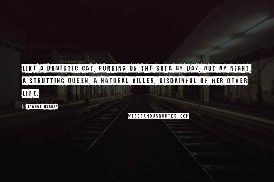 Joanne Harris Quotes: Like a domestic cat, purring on the sofa by day, but by night, a strutting queen, a natural killer, disdainful of her other life.