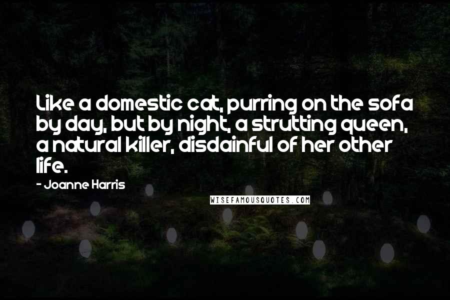 Joanne Harris Quotes: Like a domestic cat, purring on the sofa by day, but by night, a strutting queen, a natural killer, disdainful of her other life.