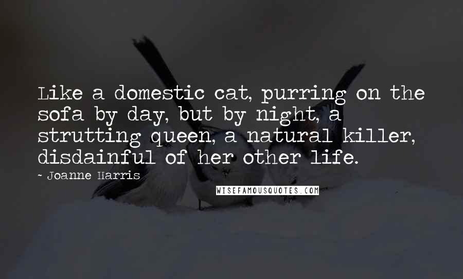 Joanne Harris Quotes: Like a domestic cat, purring on the sofa by day, but by night, a strutting queen, a natural killer, disdainful of her other life.