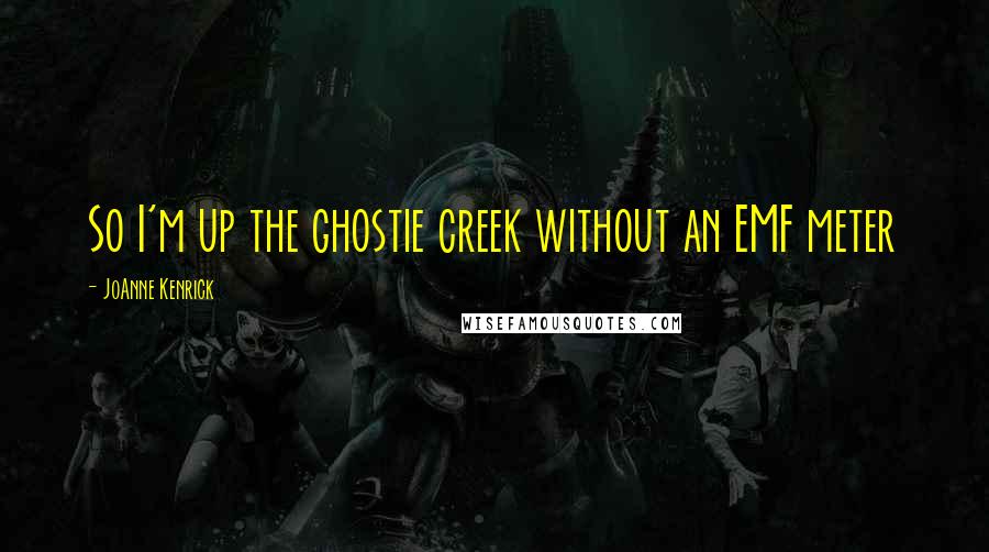 JoAnne Kenrick Quotes: So I'm up the ghostie creek without an EMF meter