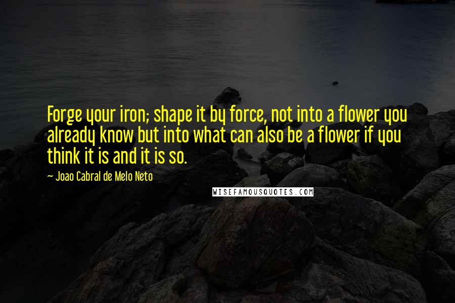 Joao Cabral De Melo Neto Quotes: Forge your iron; shape it by force, not into a flower you already know but into what can also be a flower if you think it is and it is so.
