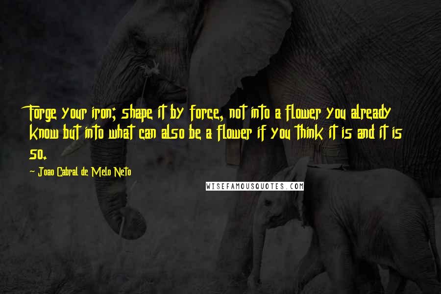 Joao Cabral De Melo Neto Quotes: Forge your iron; shape it by force, not into a flower you already know but into what can also be a flower if you think it is and it is so.