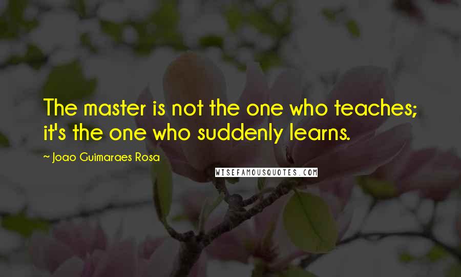 Joao Guimaraes Rosa Quotes: The master is not the one who teaches; it's the one who suddenly learns.