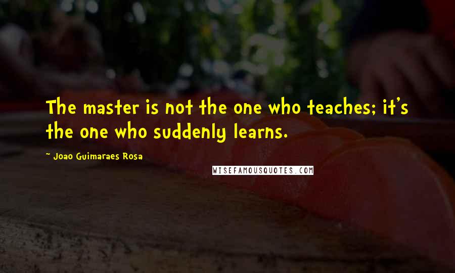 Joao Guimaraes Rosa Quotes: The master is not the one who teaches; it's the one who suddenly learns.