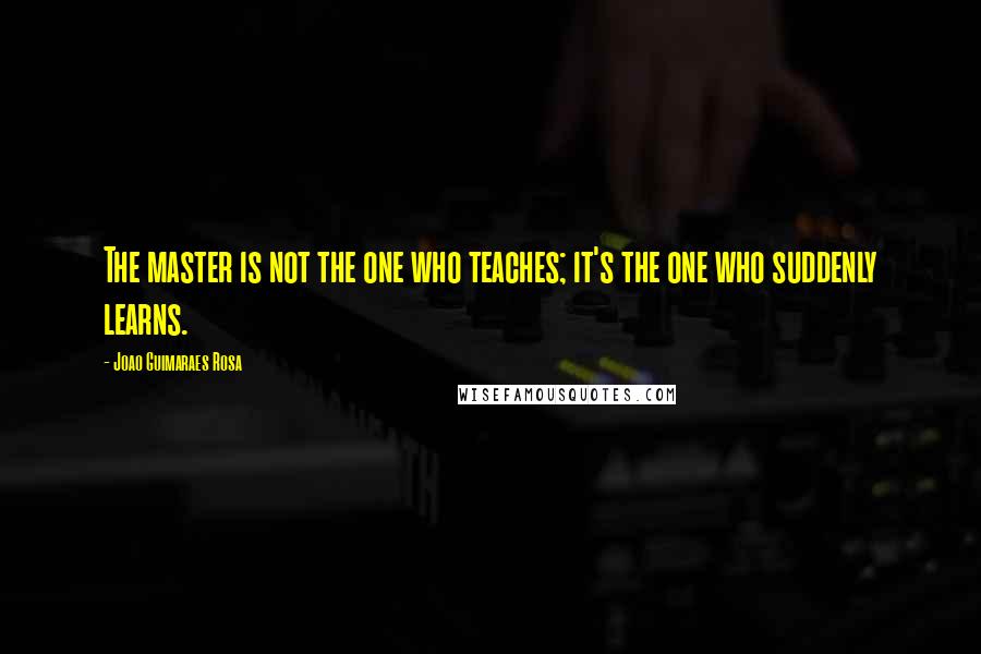 Joao Guimaraes Rosa Quotes: The master is not the one who teaches; it's the one who suddenly learns.