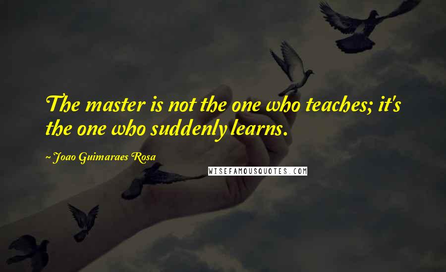 Joao Guimaraes Rosa Quotes: The master is not the one who teaches; it's the one who suddenly learns.