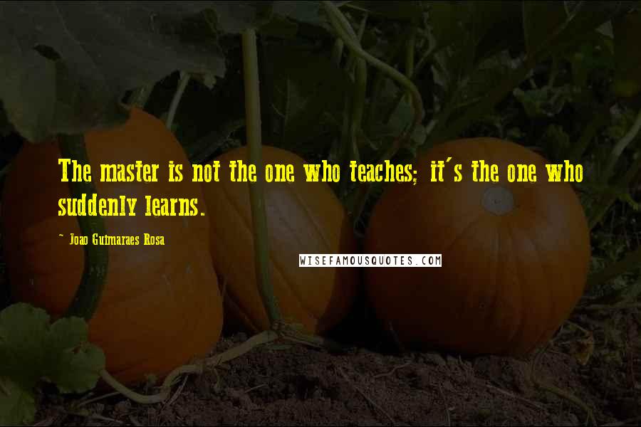 Joao Guimaraes Rosa Quotes: The master is not the one who teaches; it's the one who suddenly learns.