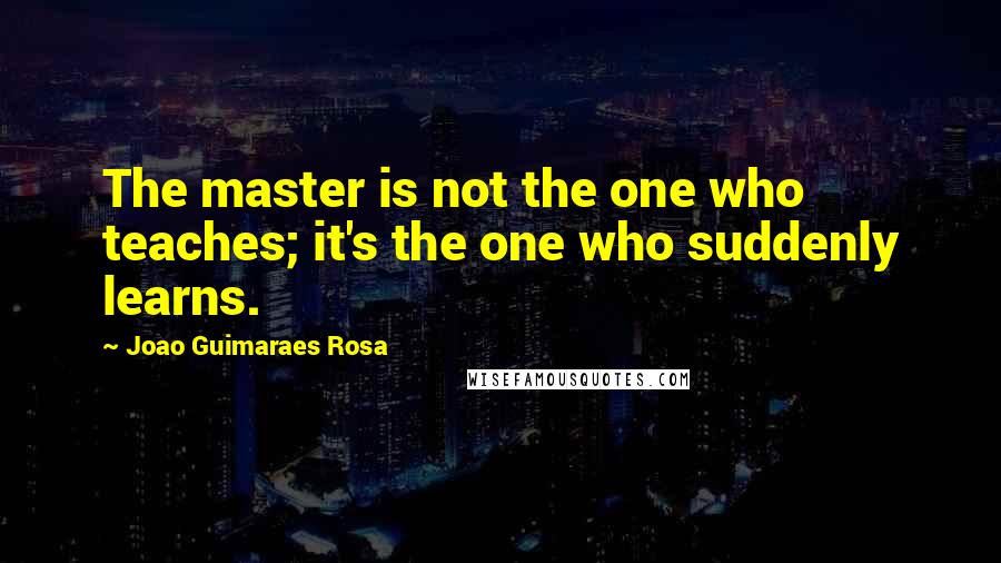 Joao Guimaraes Rosa Quotes: The master is not the one who teaches; it's the one who suddenly learns.