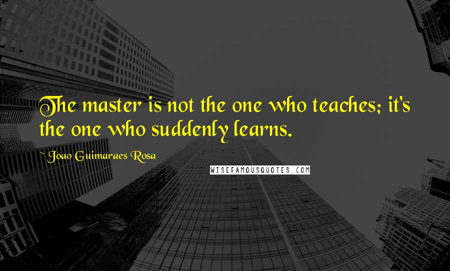 Joao Guimaraes Rosa Quotes: The master is not the one who teaches; it's the one who suddenly learns.