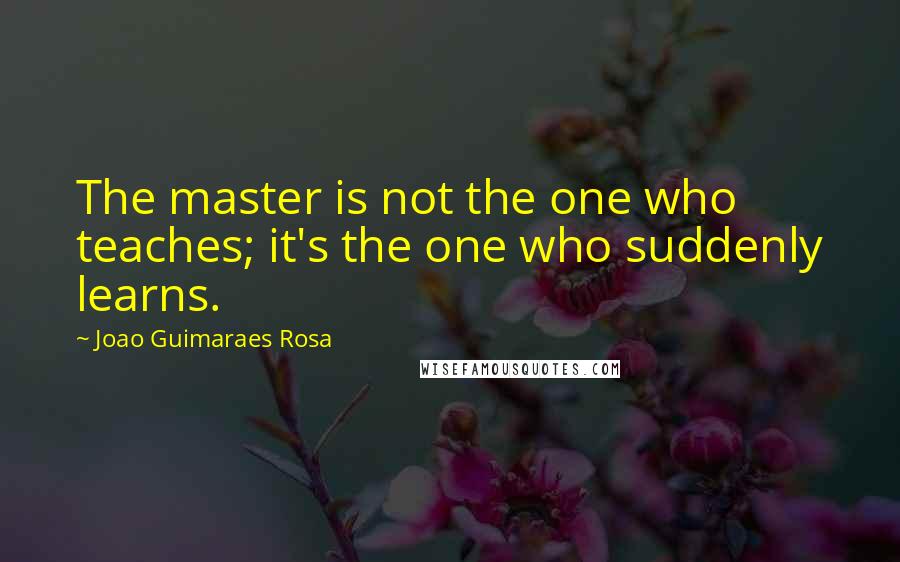 Joao Guimaraes Rosa Quotes: The master is not the one who teaches; it's the one who suddenly learns.