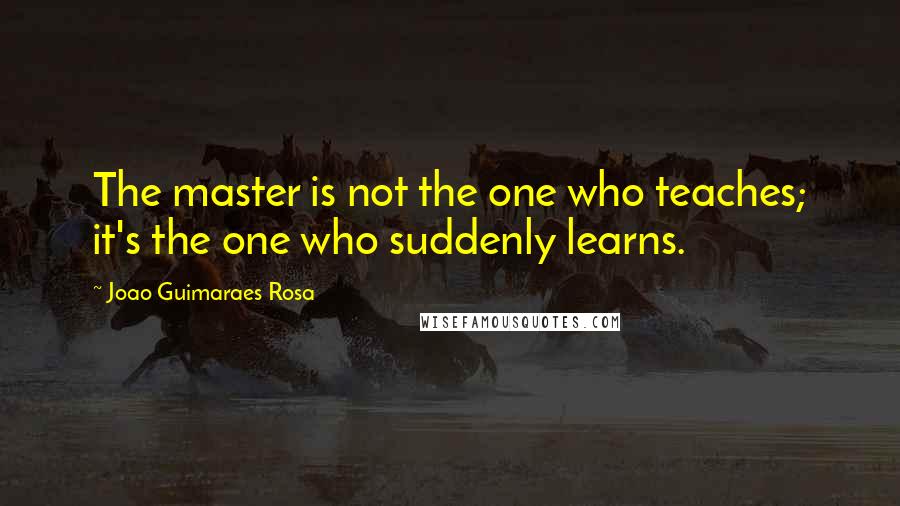 Joao Guimaraes Rosa Quotes: The master is not the one who teaches; it's the one who suddenly learns.