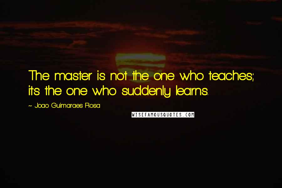 Joao Guimaraes Rosa Quotes: The master is not the one who teaches; it's the one who suddenly learns.