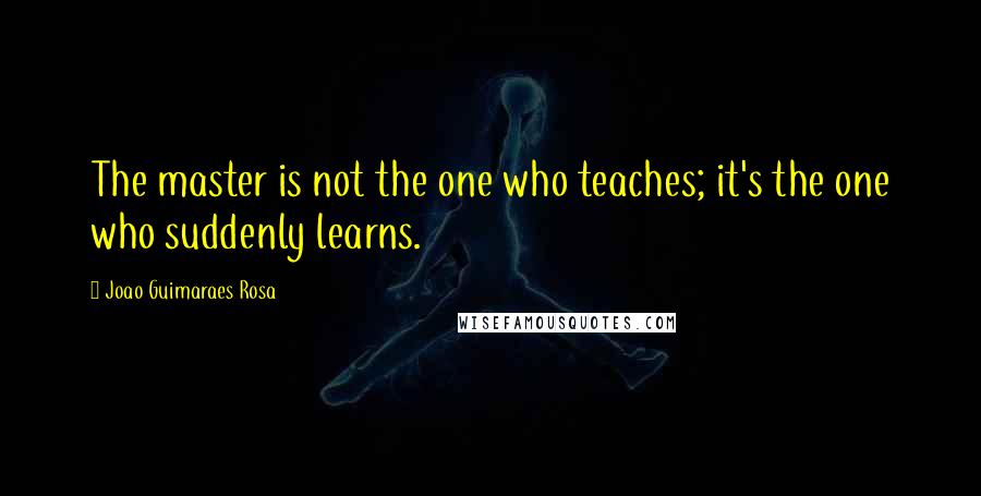 Joao Guimaraes Rosa Quotes: The master is not the one who teaches; it's the one who suddenly learns.