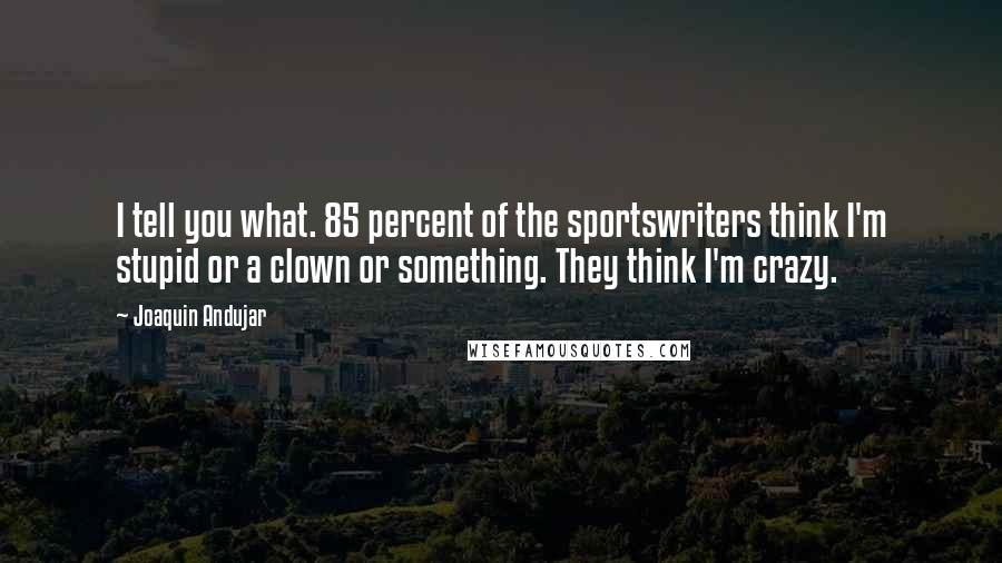 Joaquin Andujar Quotes: I tell you what. 85 percent of the sportswriters think I'm stupid or a clown or something. They think I'm crazy.