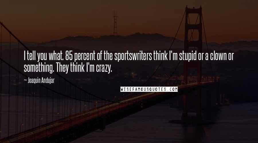 Joaquin Andujar Quotes: I tell you what. 85 percent of the sportswriters think I'm stupid or a clown or something. They think I'm crazy.