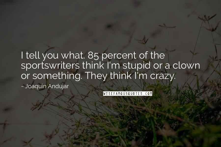 Joaquin Andujar Quotes: I tell you what. 85 percent of the sportswriters think I'm stupid or a clown or something. They think I'm crazy.