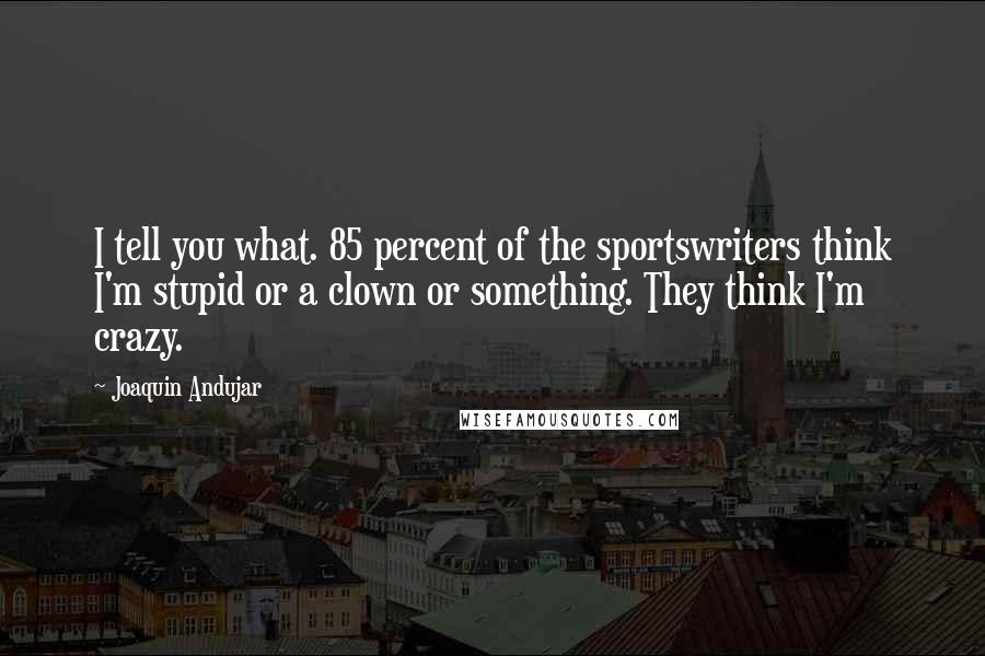 Joaquin Andujar Quotes: I tell you what. 85 percent of the sportswriters think I'm stupid or a clown or something. They think I'm crazy.