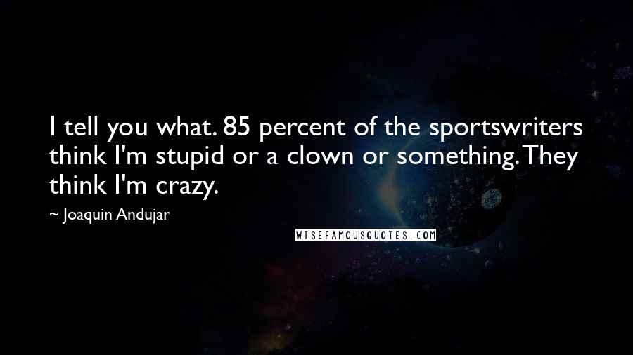 Joaquin Andujar Quotes: I tell you what. 85 percent of the sportswriters think I'm stupid or a clown or something. They think I'm crazy.