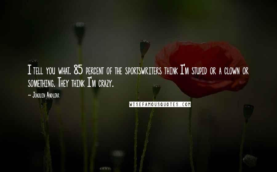 Joaquin Andujar Quotes: I tell you what. 85 percent of the sportswriters think I'm stupid or a clown or something. They think I'm crazy.