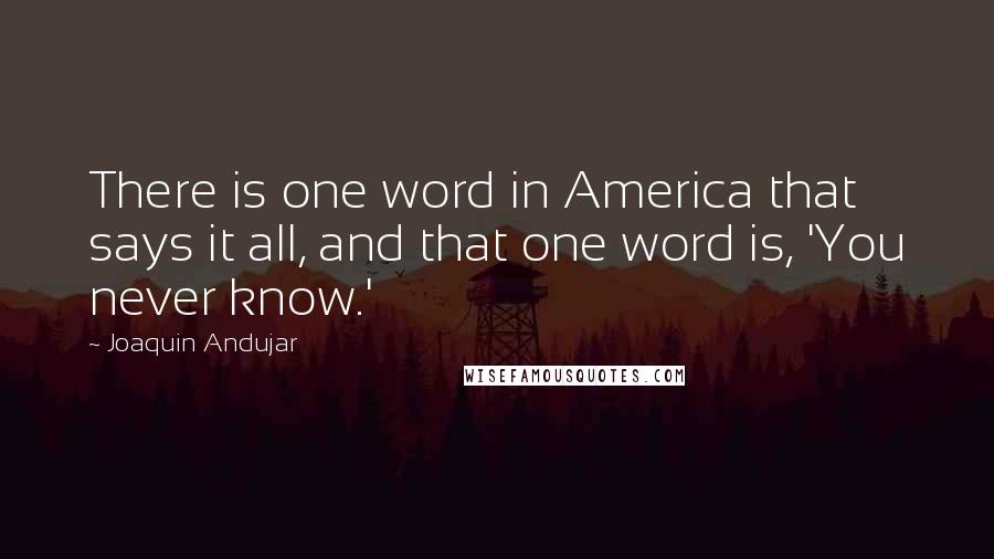 Joaquin Andujar Quotes: There is one word in America that says it all, and that one word is, 'You never know.'