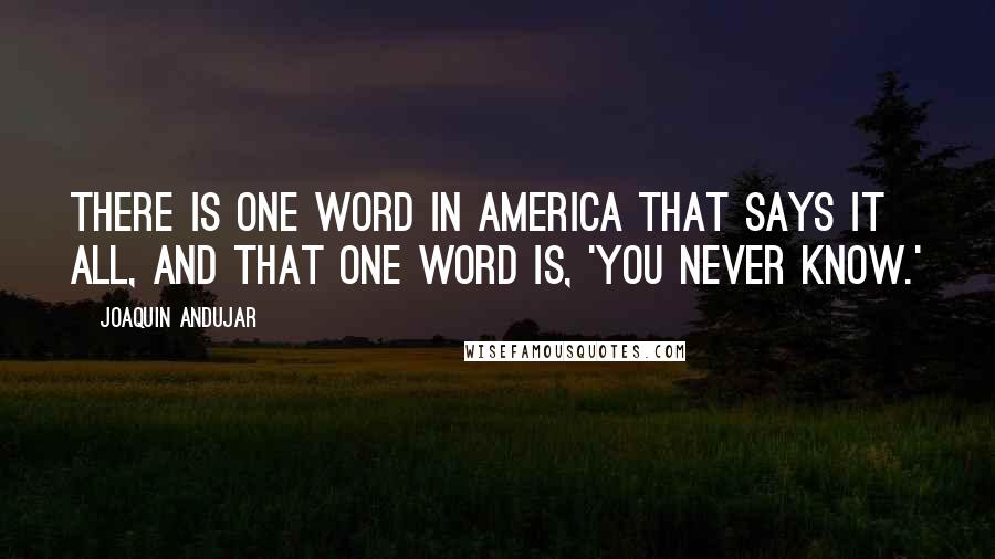 Joaquin Andujar Quotes: There is one word in America that says it all, and that one word is, 'You never know.'