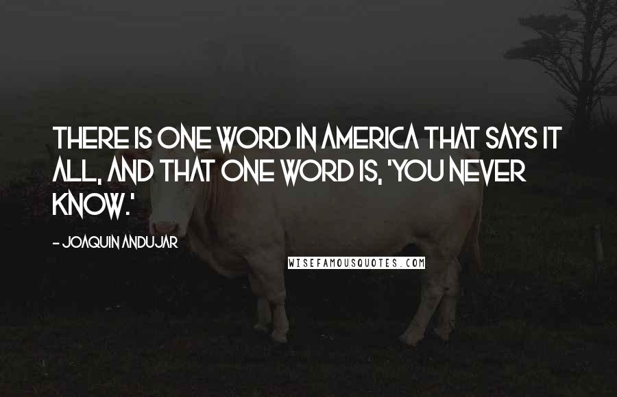 Joaquin Andujar Quotes: There is one word in America that says it all, and that one word is, 'You never know.'