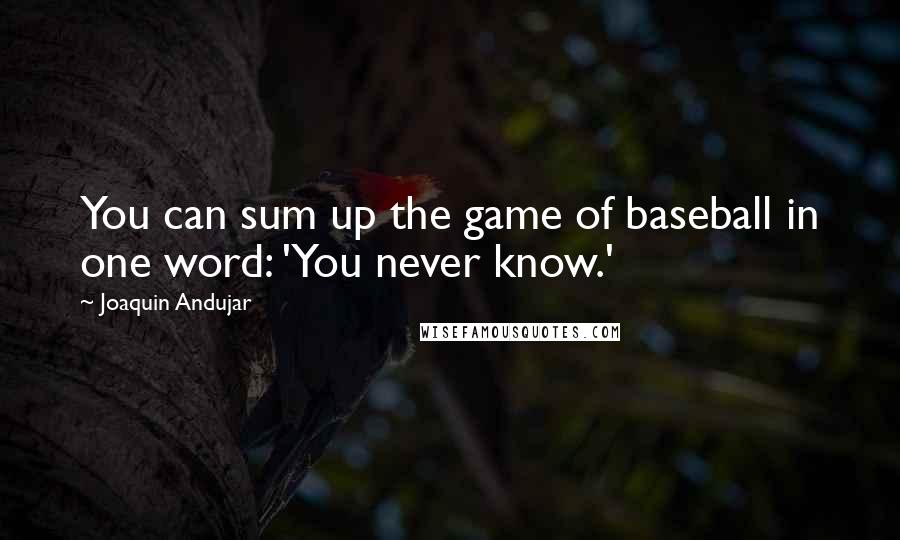 Joaquin Andujar Quotes: You can sum up the game of baseball in one word: 'You never know.'