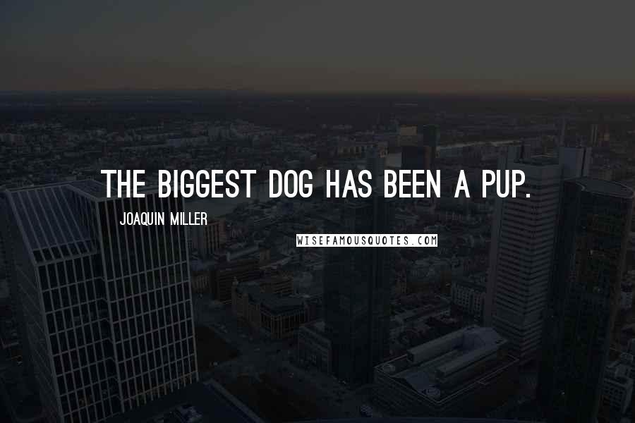 Joaquin Miller Quotes: The biggest dog has been a pup.