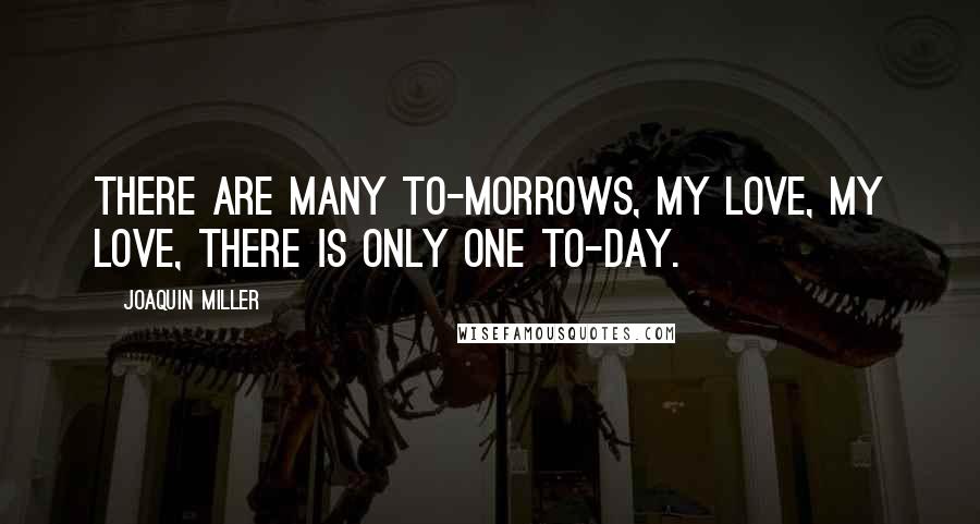 Joaquin Miller Quotes: There are many To-morrows, my Love, my Love, There is only one To-day.