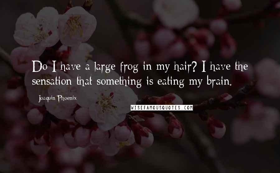 Joaquin Phoenix Quotes: Do I have a large frog in my hair? I have the sensation that something is eating my brain.