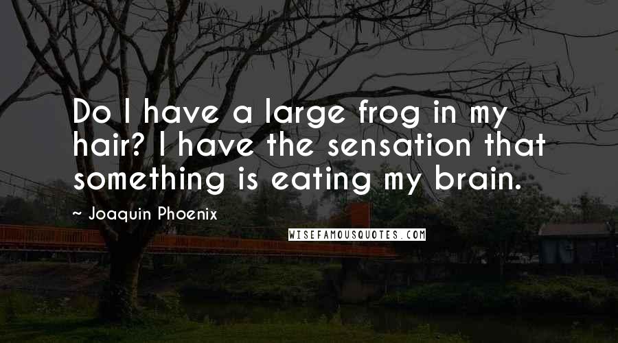 Joaquin Phoenix Quotes: Do I have a large frog in my hair? I have the sensation that something is eating my brain.