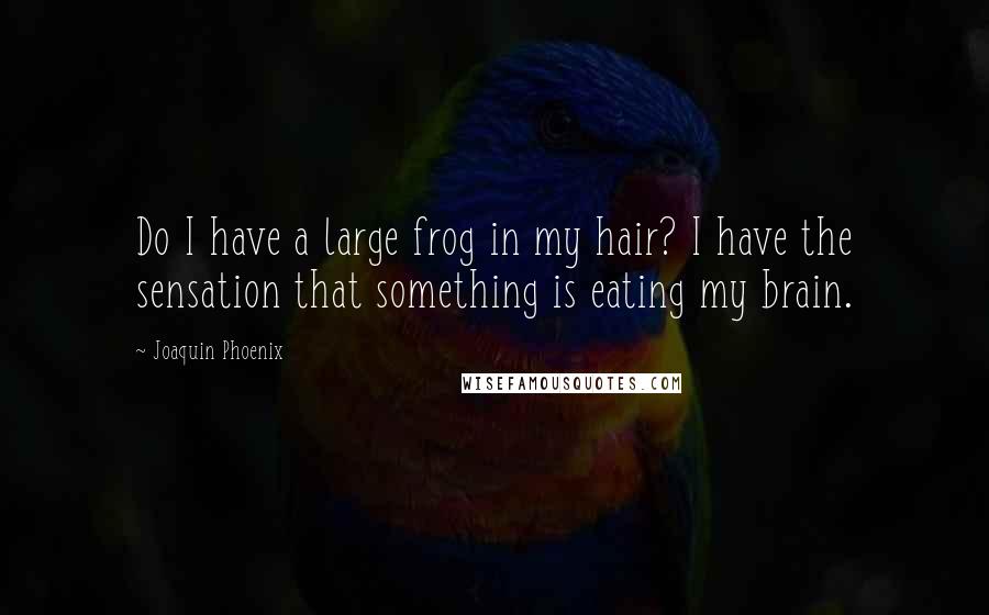 Joaquin Phoenix Quotes: Do I have a large frog in my hair? I have the sensation that something is eating my brain.