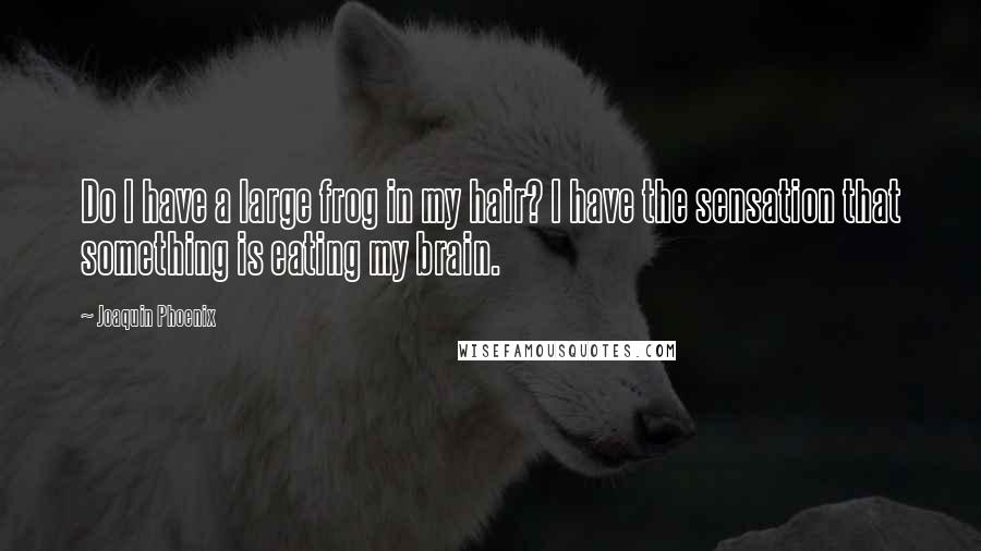 Joaquin Phoenix Quotes: Do I have a large frog in my hair? I have the sensation that something is eating my brain.