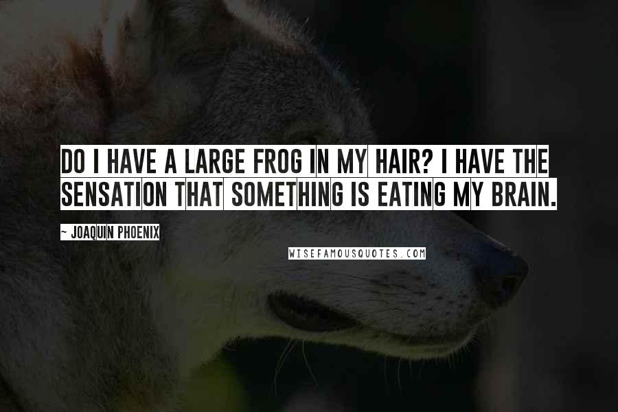 Joaquin Phoenix Quotes: Do I have a large frog in my hair? I have the sensation that something is eating my brain.