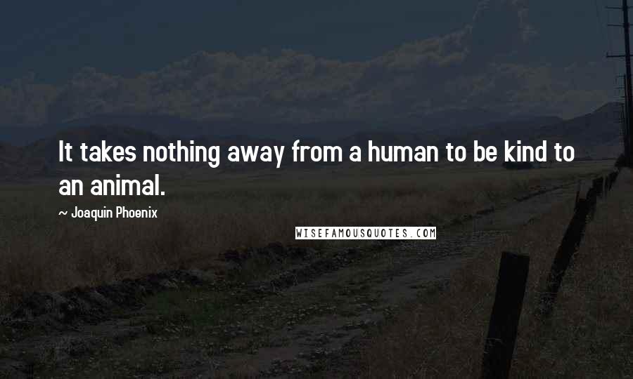 Joaquin Phoenix Quotes: It takes nothing away from a human to be kind to an animal.