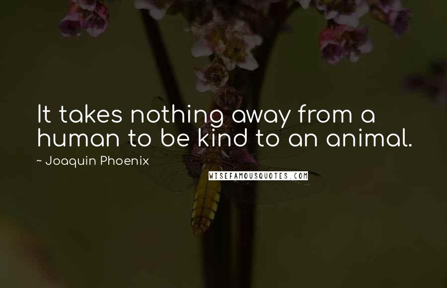 Joaquin Phoenix Quotes: It takes nothing away from a human to be kind to an animal.