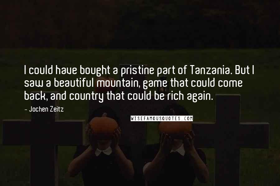 Jochen Zeitz Quotes: I could have bought a pristine part of Tanzania. But I saw a beautiful mountain, game that could come back, and country that could be rich again.