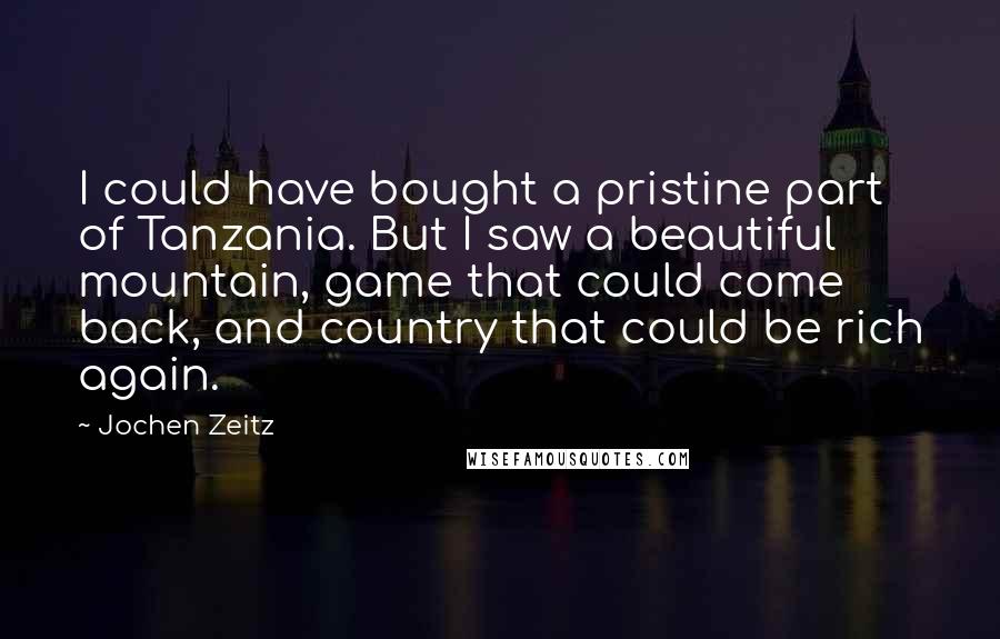 Jochen Zeitz Quotes: I could have bought a pristine part of Tanzania. But I saw a beautiful mountain, game that could come back, and country that could be rich again.