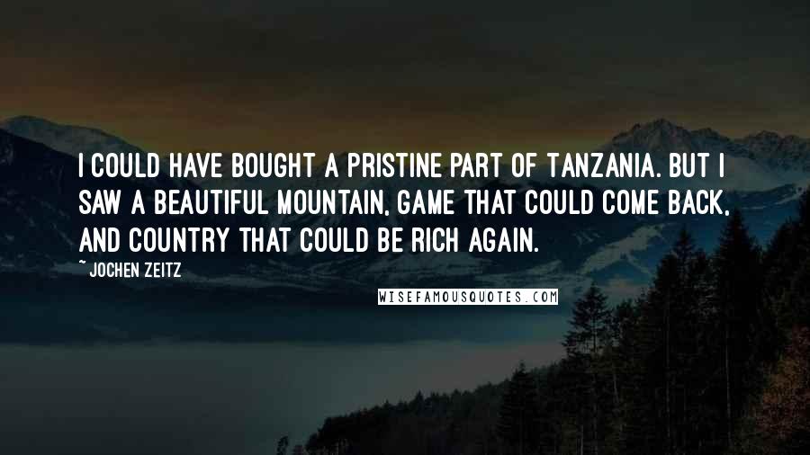 Jochen Zeitz Quotes: I could have bought a pristine part of Tanzania. But I saw a beautiful mountain, game that could come back, and country that could be rich again.