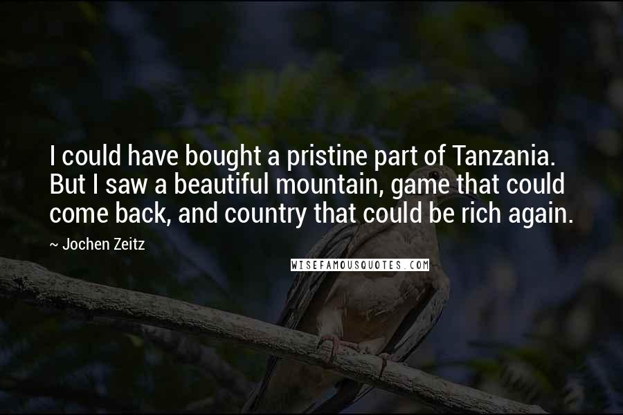 Jochen Zeitz Quotes: I could have bought a pristine part of Tanzania. But I saw a beautiful mountain, game that could come back, and country that could be rich again.