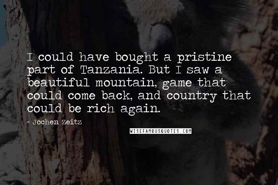 Jochen Zeitz Quotes: I could have bought a pristine part of Tanzania. But I saw a beautiful mountain, game that could come back, and country that could be rich again.