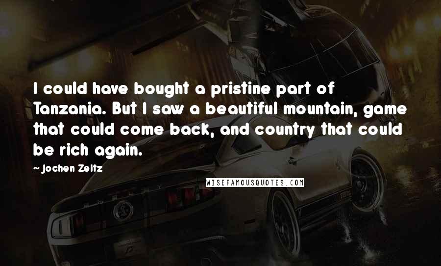 Jochen Zeitz Quotes: I could have bought a pristine part of Tanzania. But I saw a beautiful mountain, game that could come back, and country that could be rich again.