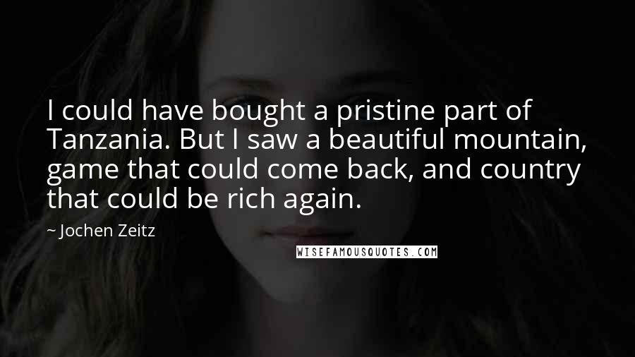 Jochen Zeitz Quotes: I could have bought a pristine part of Tanzania. But I saw a beautiful mountain, game that could come back, and country that could be rich again.