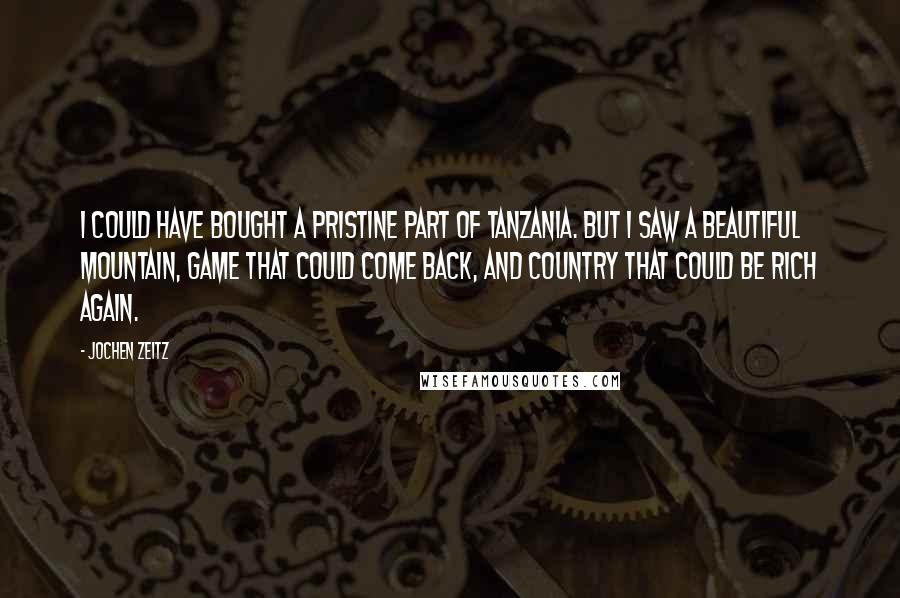 Jochen Zeitz Quotes: I could have bought a pristine part of Tanzania. But I saw a beautiful mountain, game that could come back, and country that could be rich again.